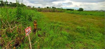 Rousillac 3 Lots - Fully approved & Camden 2 Acres Caroni Land